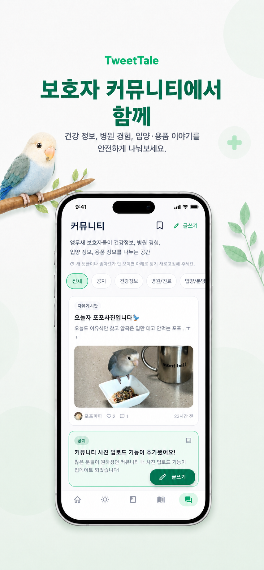 TweetTale 반려조 보호자 커뮤니티 화면